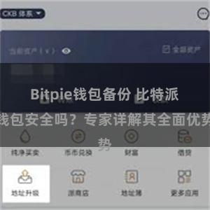 Bitpie钱包备份 比特派钱包安全吗？专家详解其全面优势