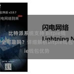 比特派系统支持 Bitpie钱包安全可靠吗？详细解析Bitpie钱包优势