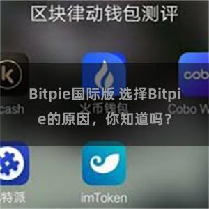 Bitpie国际版 选择Bitpie的原因，你知道吗？