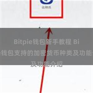 Bitpie钱包新手教程 Bitpie钱包支持的加密货币种类及功能介绍