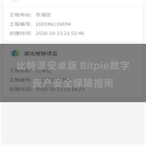 比特派安卓版 Bitpie数字资产安全保障指南