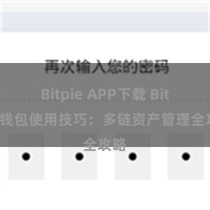 Bitpie APP下载 Bitpie钱包使用技巧：多链资产管理全攻略