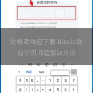 比特派钱包下载 Bitpie钱包常见问题解决方法