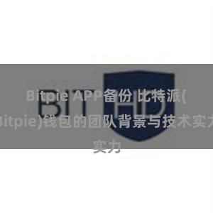 Bitpie APP备份 比特派(Bitpie)钱包的团队背景与技术实力