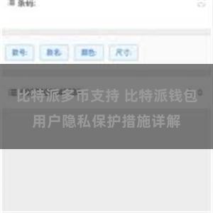 比特派多币支持 比特派钱包用户隐私保护措施详解