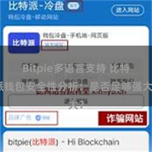 Bitpie多语言支持 比特派钱包安全性分析：是否足够强大？