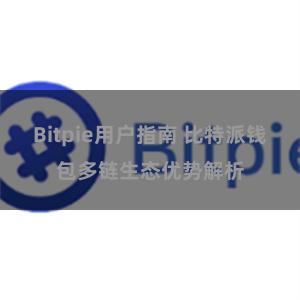 Bitpie用户指南 比特派钱包多链生态优势解析