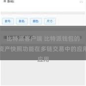 比特派客户端 比特派钱包的资产快照功能在多链交易中的应用