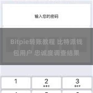 Bitpie转账教程 比特派钱包用户 忠诚度调查结果